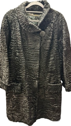 Eleganter schwarzer persianer - schwarzer,