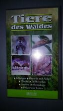 Video - Tiere des Waldes.