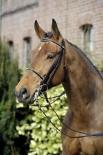 % Stübben Kandare 3000 Limerick englisches Reithalfter schwarz -UVP €179,00 -NH