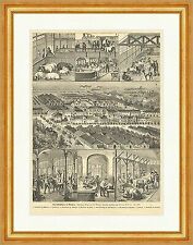 Das Schlachthaus in München Riegel Kollarz Schweine Rinder Holzstich E 14796