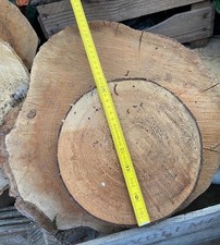 Baumscheibe zum Basteln