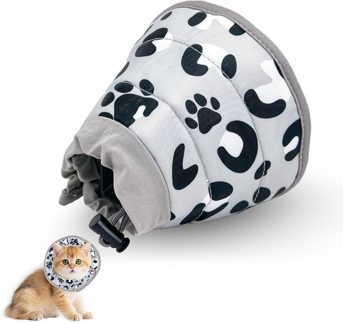 Halskrause katze - halskrause,