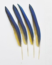 4 Stk .32-33 cm  links