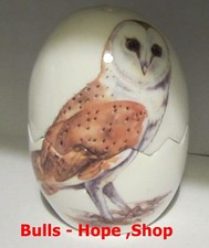 Eule , Barn Owl , Porzellan