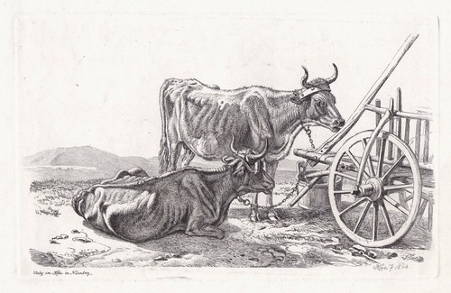 Kühe wagen cows kuh - wagen,