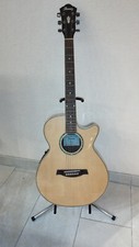 Ibanez AEG 60 NT Limited