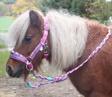MINISHETTY Trense REITHALFTER ZÜGEL Mini  Shetland Pony Sidepull gebisslos