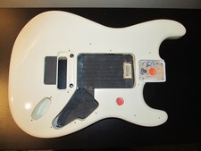 Fender Stratocaster Body Floyd