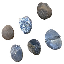 6 Stück Nussgeoden I Occos |