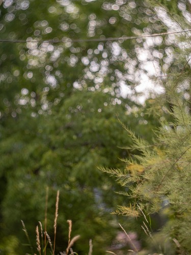 Hermagis petzval 95mm 3 - hermagis,
