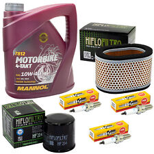 Öl 4L Wartung für Triumph