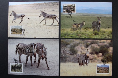 Namibia südwestafrika - namibia,