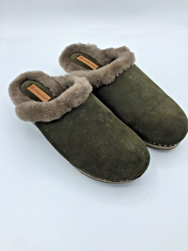 Naturalista n5643 forest - naturalista,,