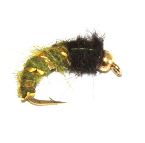 Oliven caddis perlenkopf - caddis,