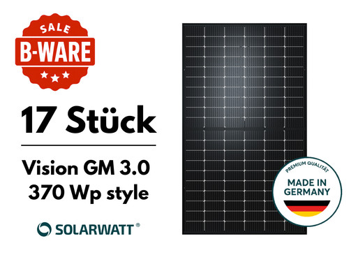 Solarwatt panel vision - solarwatt,