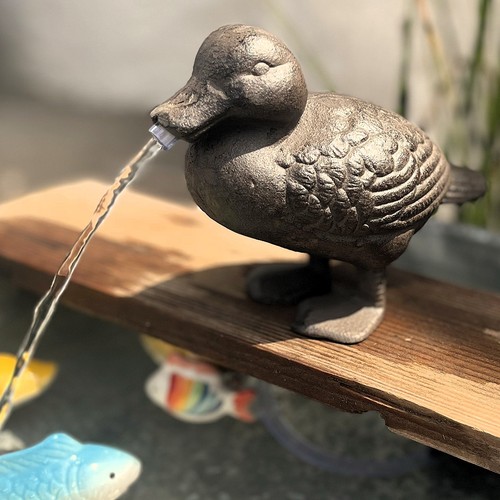 Wasserspeier ente guß - ente,