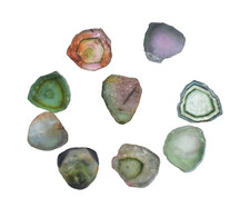 8 Stück Unbehandelt 10.90