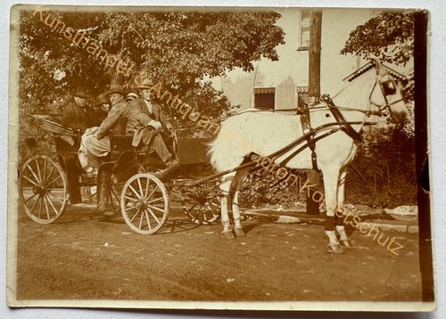 Orig foto kutsche pferde - kutsche,