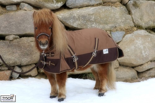 Regendecke mini shetty - mini, 65
