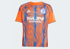 FC Schalke 04 Ausweichstrikot