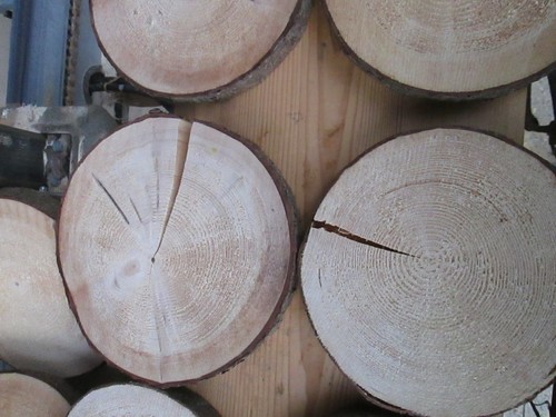 Holzscheiben 24 - st.holzscheiben,,