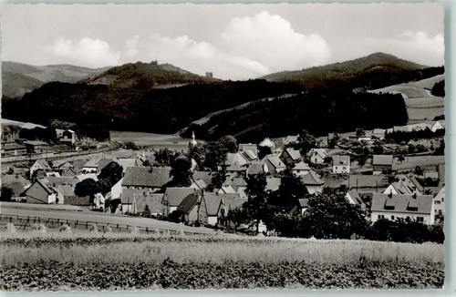 59929 w5790 hoppecke - w5790,