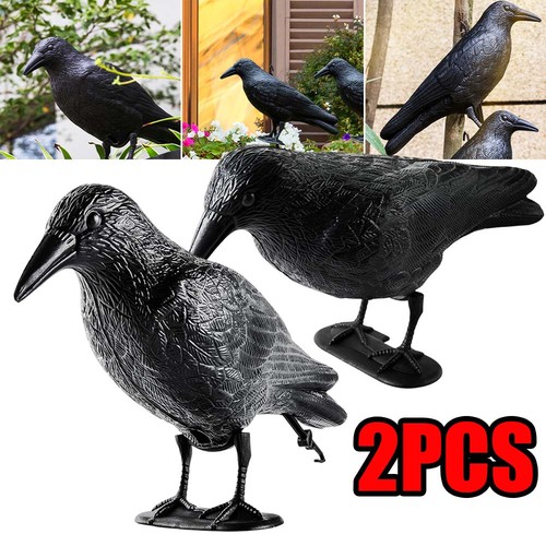 Vogelschreck krähe - 2x,