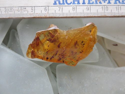 Kopal copal junger bernstein - kopal,,