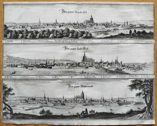 Merian original kupferstich - merian,