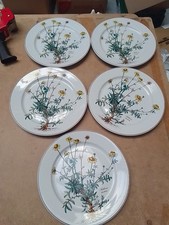 Villeroy Boch Botanica 5