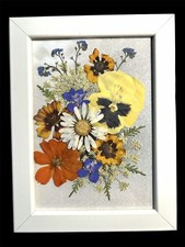 Gepresste Trockenblumen Kunst