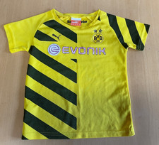 BVB Shirt, Kurzarm, Puma, Gr
