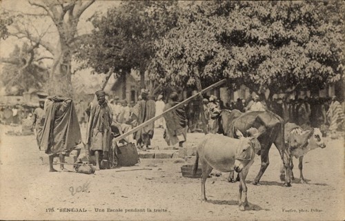 Cpa sénégal une - sénégal,,