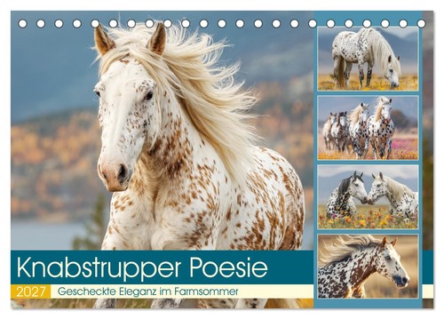 Knabstrupper poesie - knabstrupper,