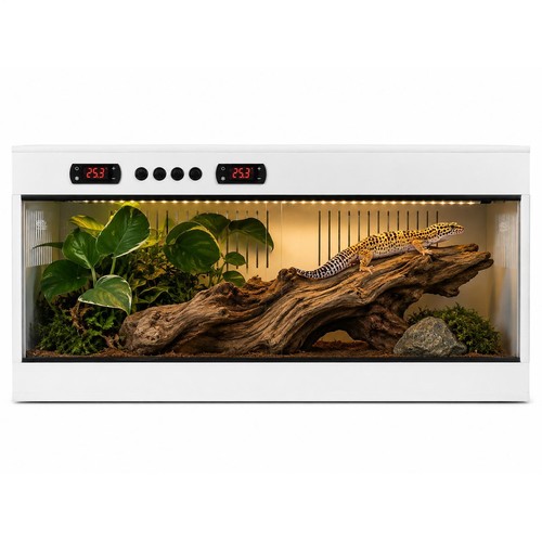 Terrarium seitenbelüftung - terrarium,