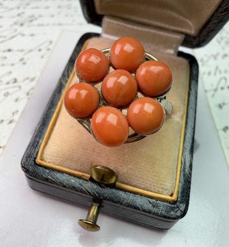 Echte koralle großer - echte, ring