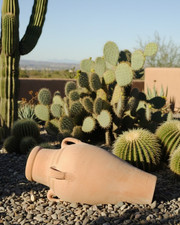 Amphore mit 4 Henkeln,rötliche Terracotta,Tunesische Handarbeit,50cm hoch