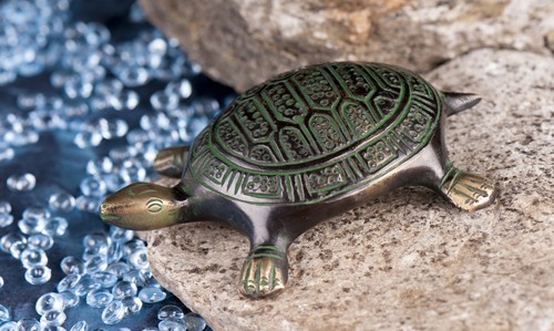 Schildkröte cm messing - cm,