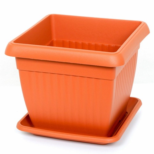 Eckig blumentopf mit - eckig,