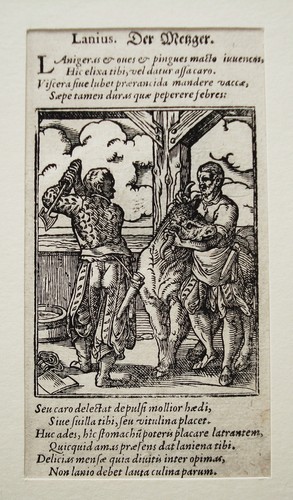 Metzger fleischhauer - metzger,