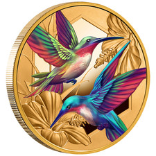 Goldmünze Kolibri 2026 - Niue - im Etui - 1 Oz PP in Farbe