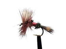 Trockenfliege " Royal Wulff "