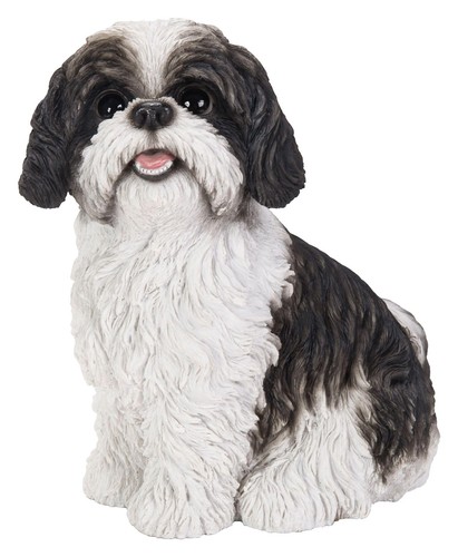 Sitting shihtzu black - sitting,