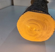 1 Stamm Drechselholz Buchsbaum