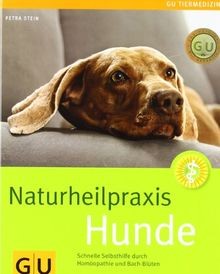 Naturheilpraxis hunde - naturheilpraxis,