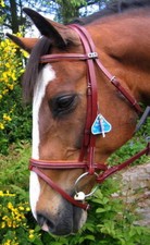 STUBBEN 3000 Limerick Split Head Gepolstert Deutsches Leder Feindressur Trense 5/8"