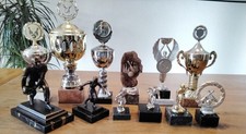 12 Pokale Kegelpokale Sammlung Konvolut Bowling Kegeln Pokal Kegelpokal Trophäe