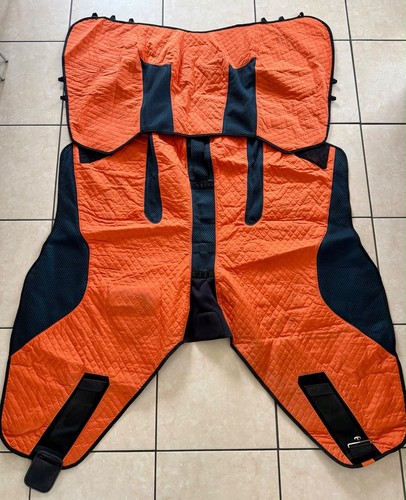 Bemer vet horse set - -,