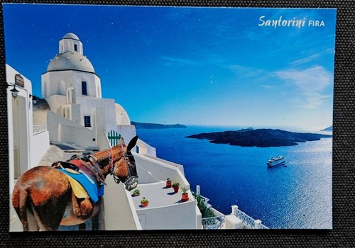 Eselpostkarte esel pferde - eselpostkarte,,