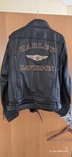 Harley-Davidson 110Th